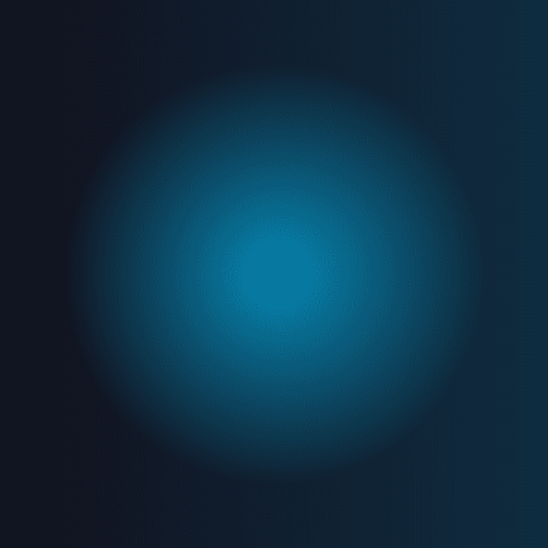 DSC01583_c5ab376b-4363-4eab-88b1-150f0f2da64b_1100x.webp